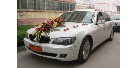 利津汽車(chē)出租 租時(shí)代的來(lái)臨與護(hù)網(wǎng)及類(lèi)似品的制造