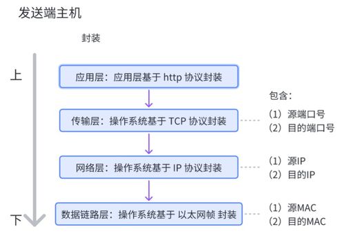 網絡通信基石 核心設備、關鍵技術及技術服務全景解析